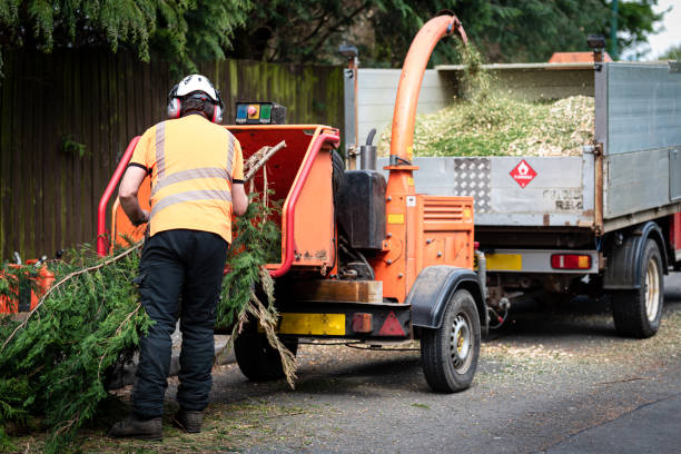 Best Firewood Processing and Delivery  in North Middletown, NJ