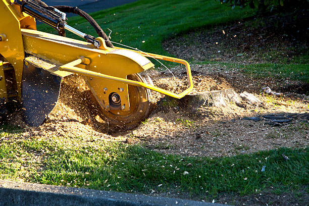 Soil Testing and Treatment in North Middletown, NJ