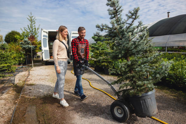 Best Palm Tree Trimming  in North Middletown, NJ